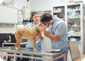 ¿Cómo podemos ayudarte?