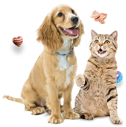 PetCom